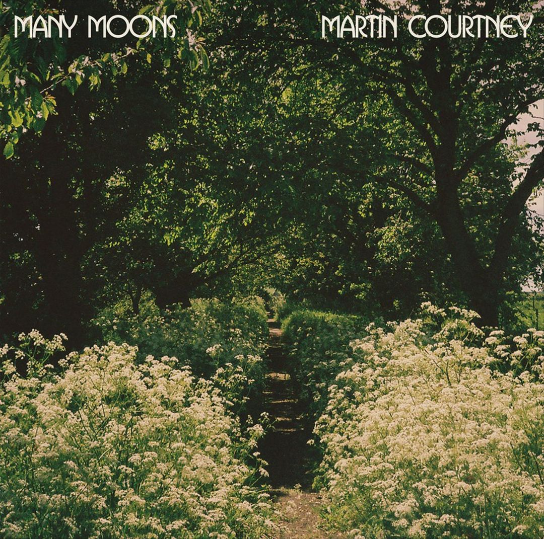Many Moons cover art