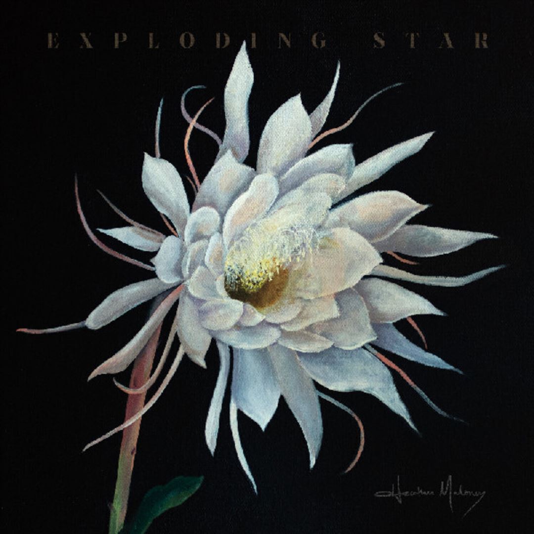 Exploding Star cover art