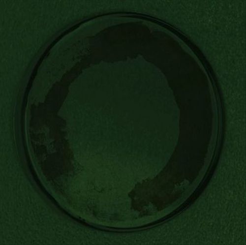 Oyster cover art