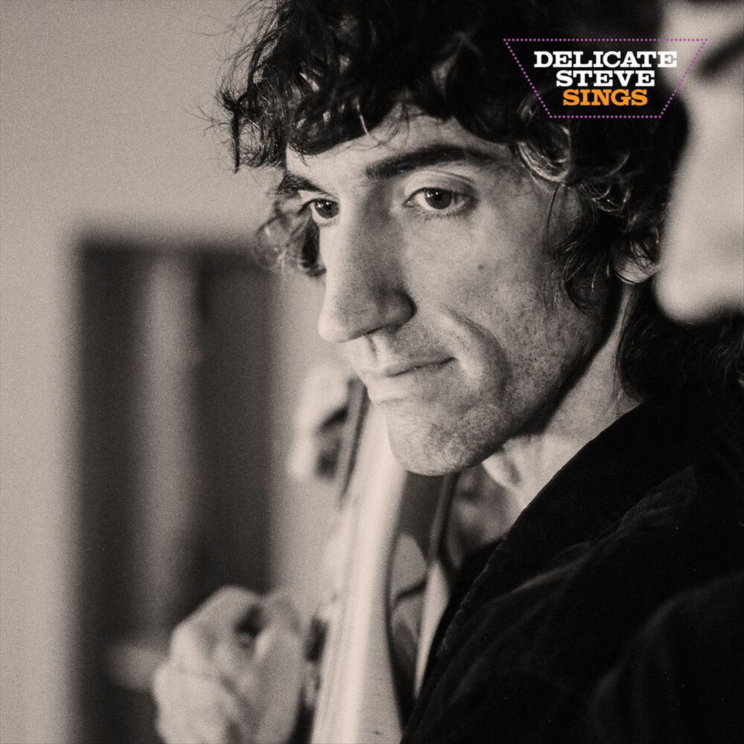 Delicate Steve Sings cover art