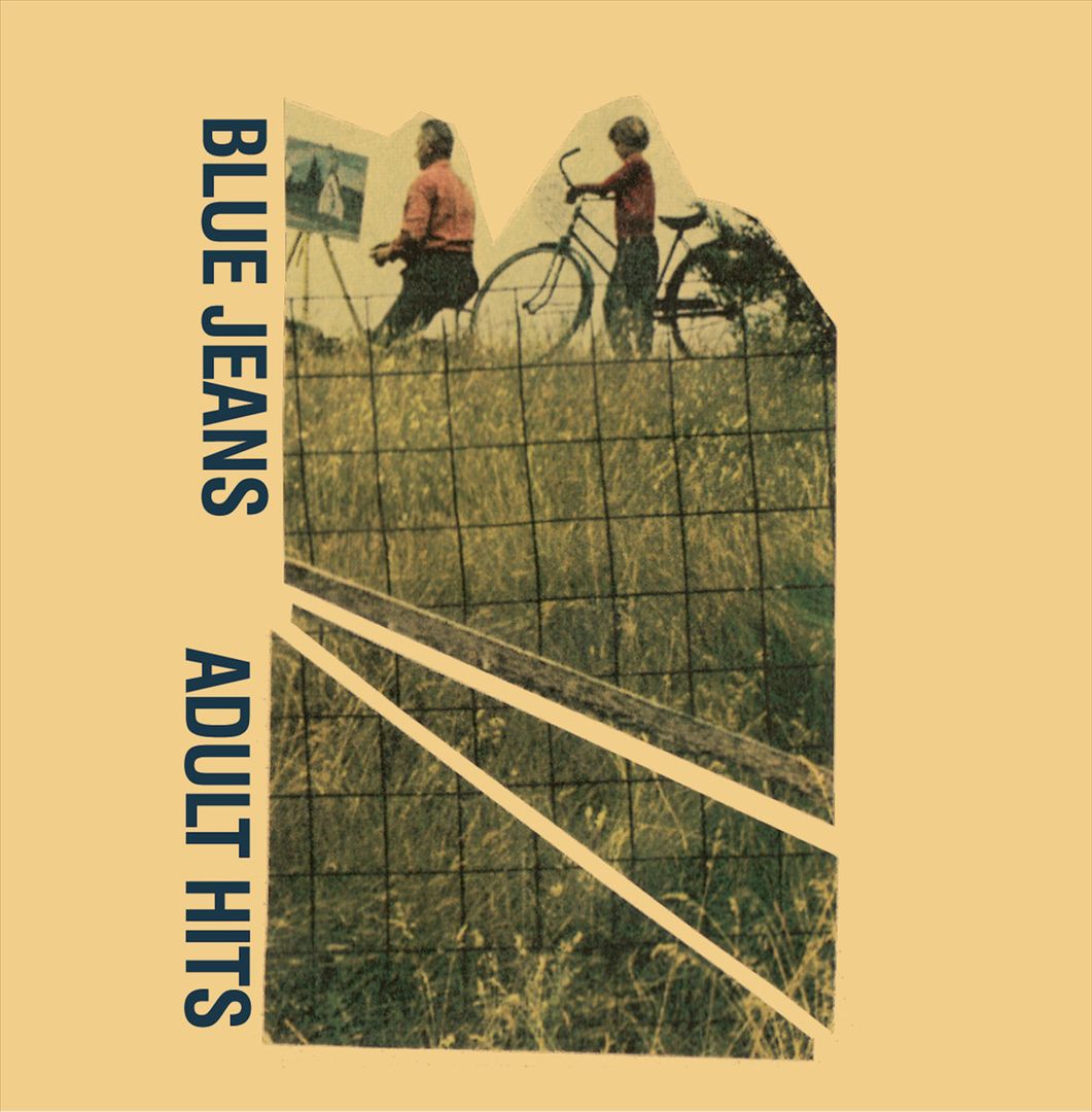 Adult Hits cover art