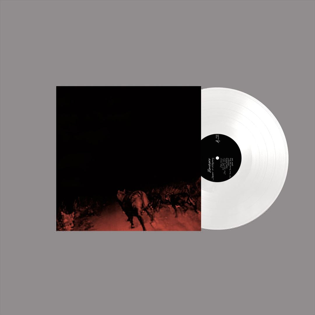 Shadow on Everything cover art