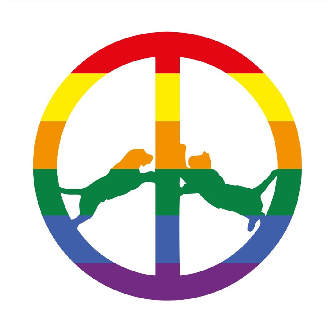 Rainbow Edition [LP] cover art