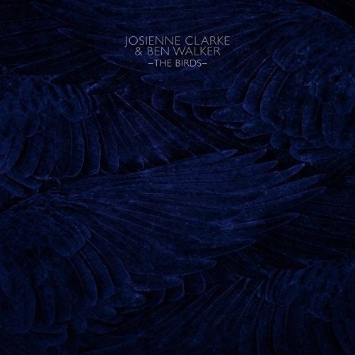 Birds cover art