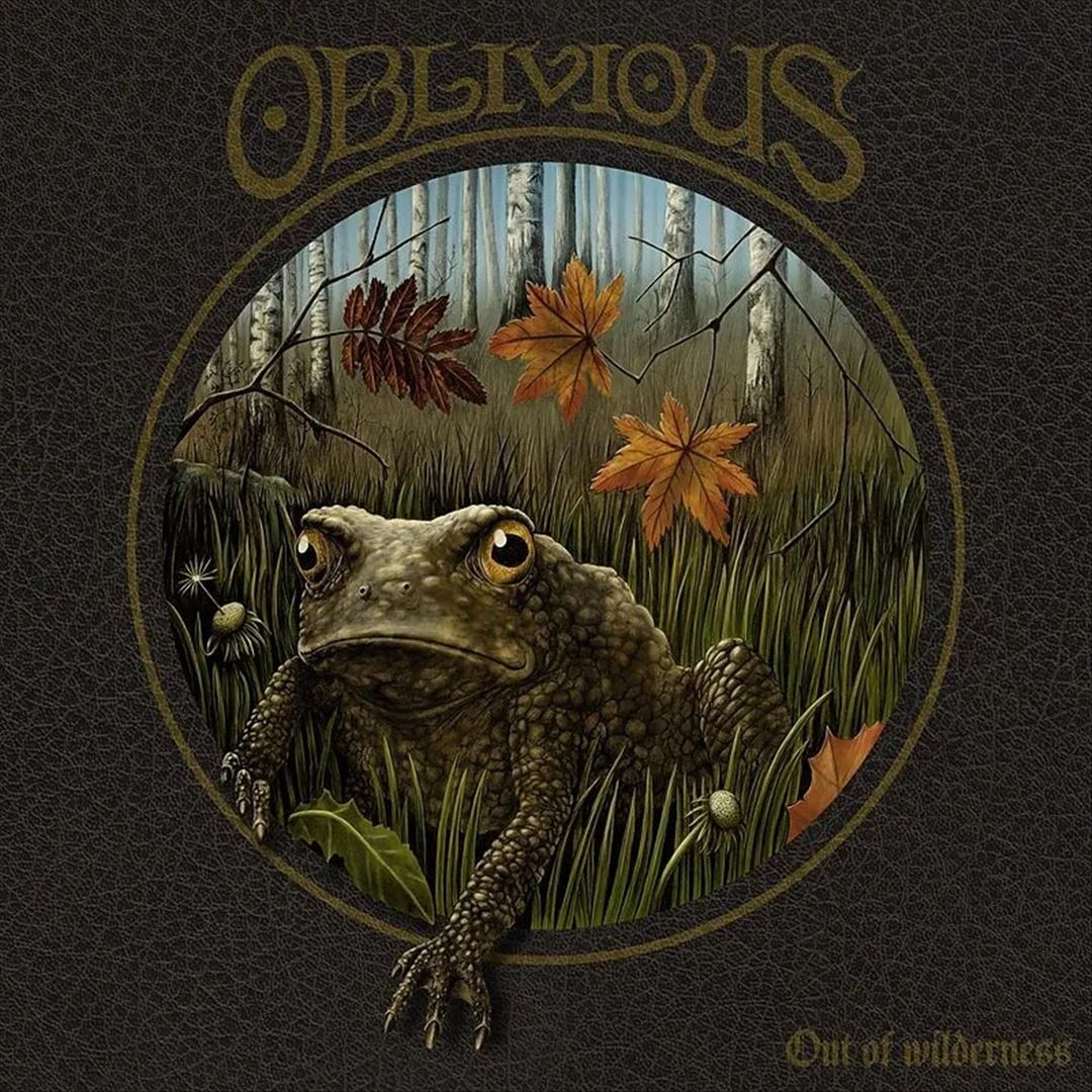 Out of Wilderness cover art