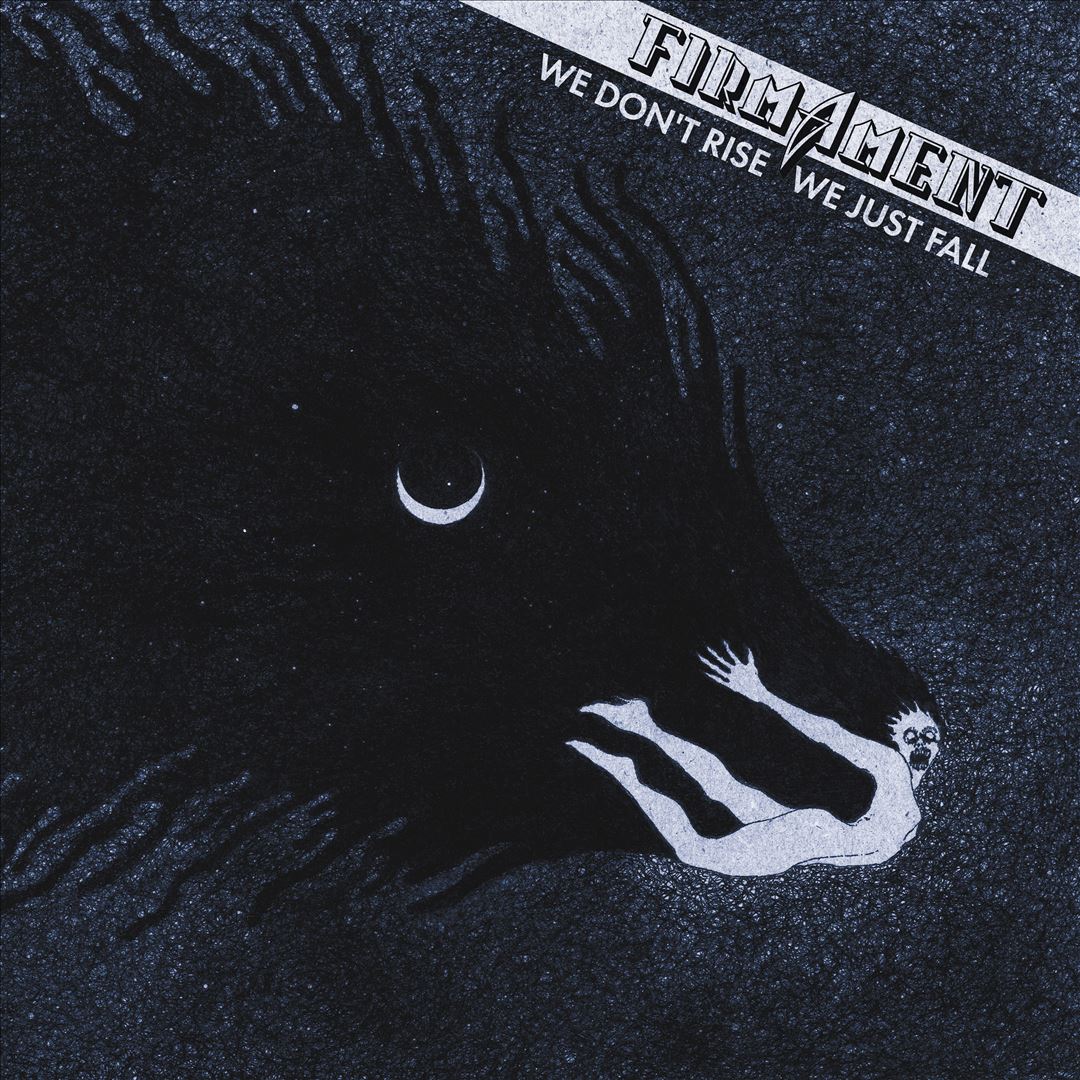 We Don't Rise, We Just Fall cover art