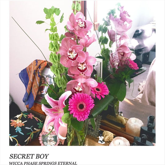 Secret Boy cover art