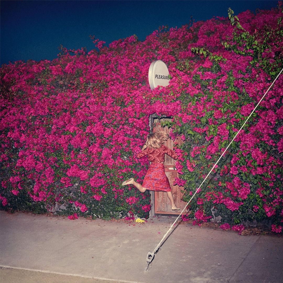 Pleasure cover art