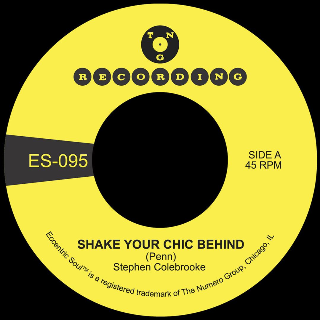 Shake Your Chic Behind b/w Stay Away From Music cover art