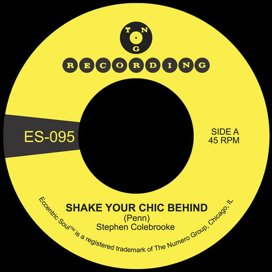 Shake Your Chic Behind b/w Stay Away From Music cover art