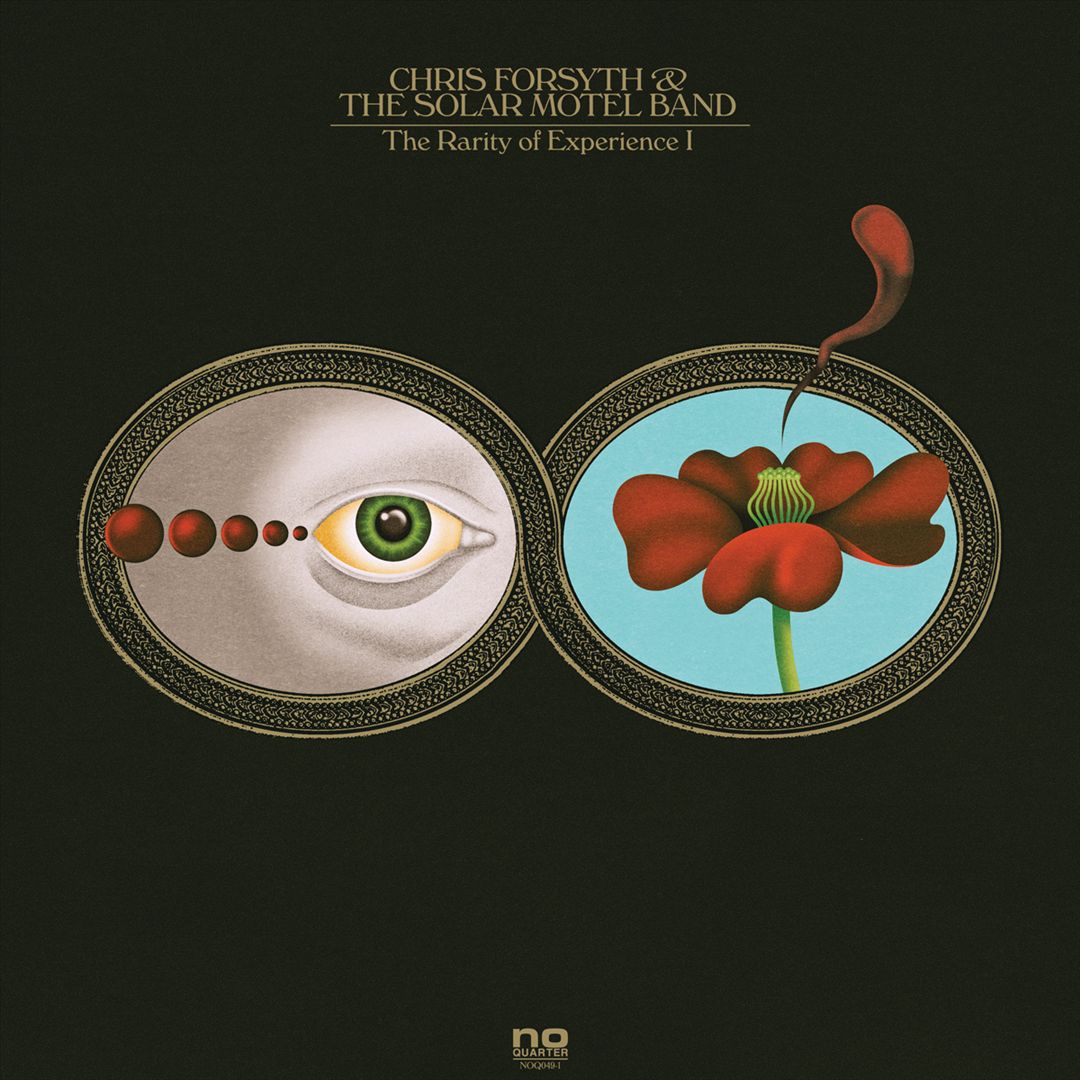 Rarity of Experience [LP] cover art