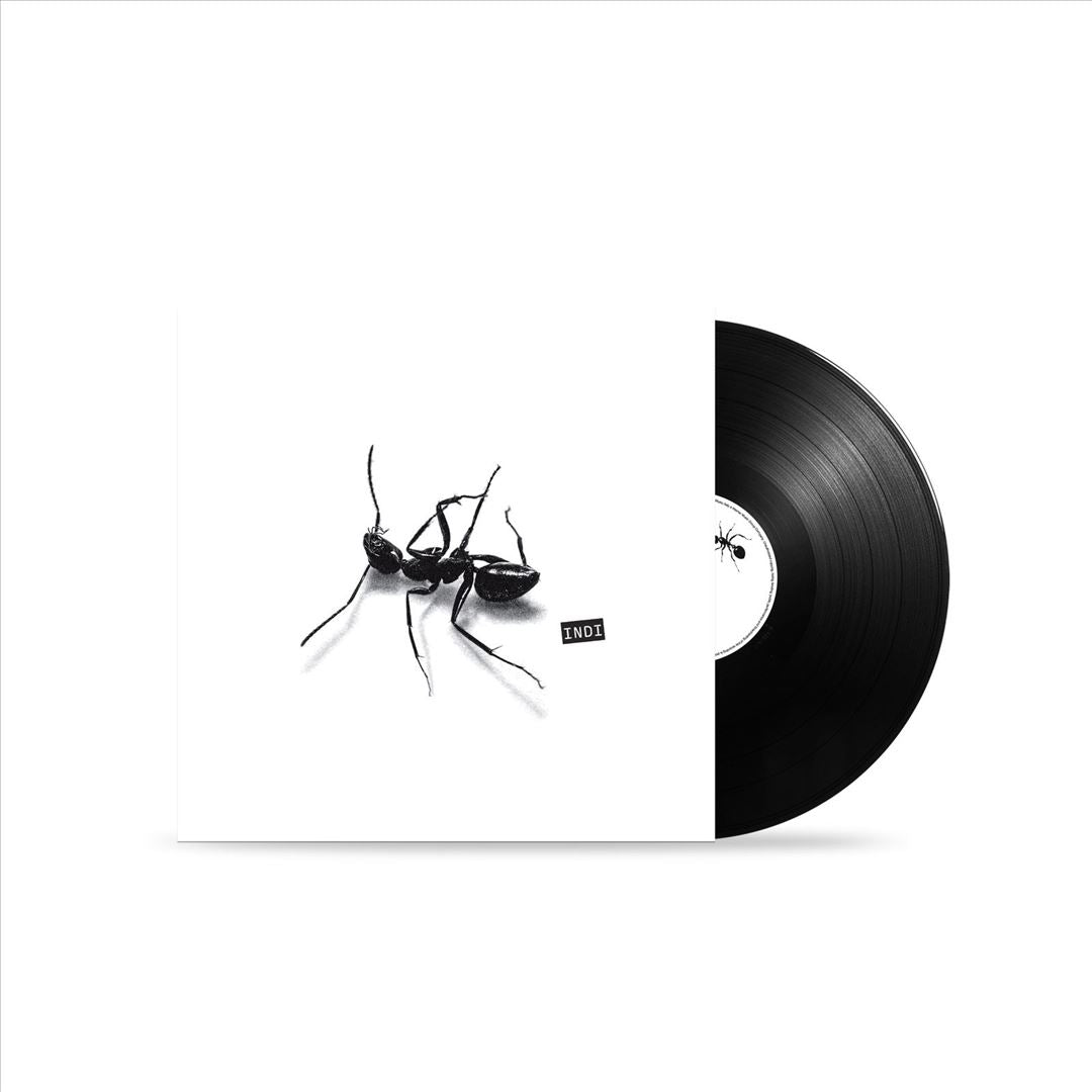 Indi cover art