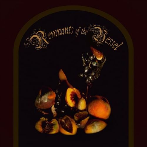 Remnants of the Vessel cover art