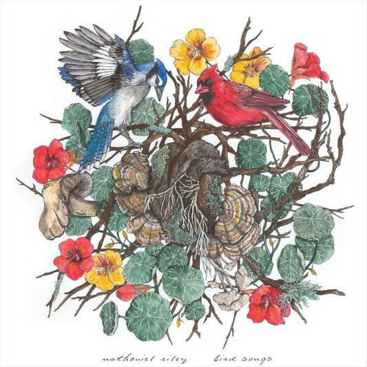 Bird Songs cover art