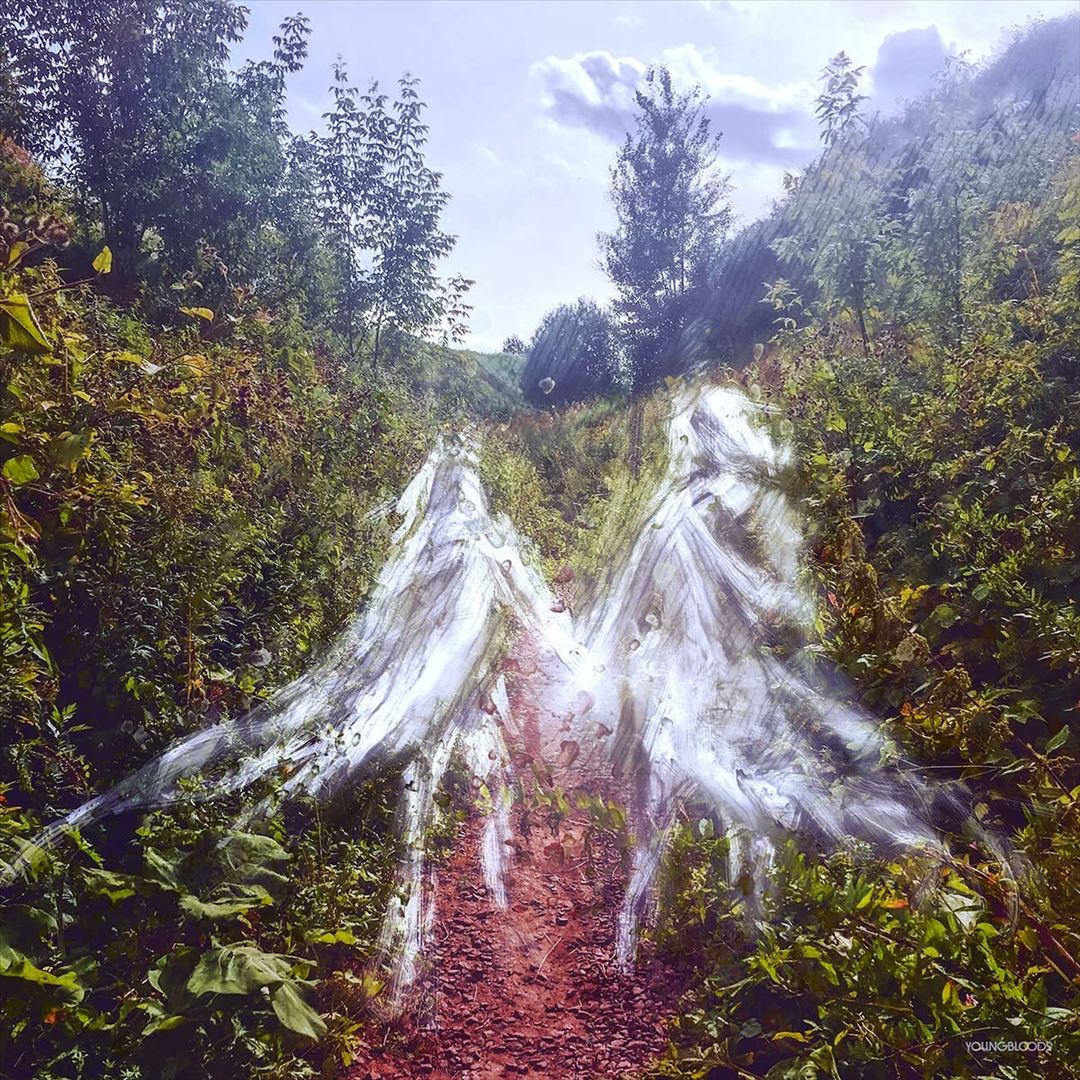 Beamorose cover art