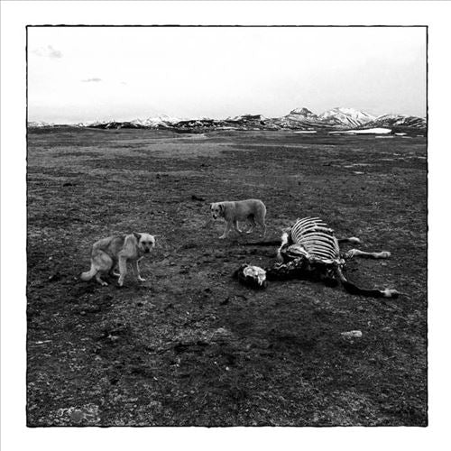 Bronson Arm cover art