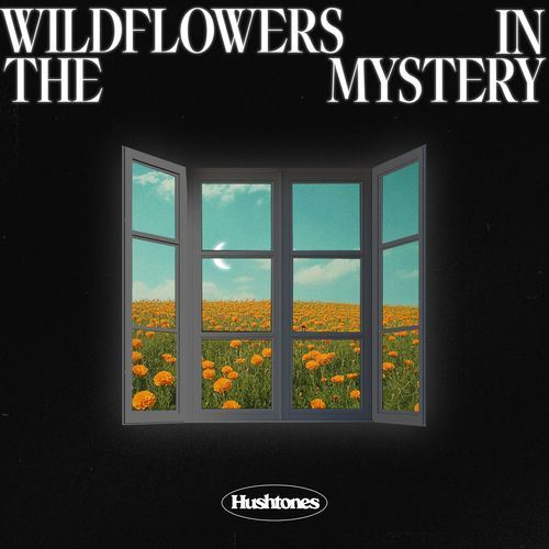 Wildflowers in the Mystery cover art