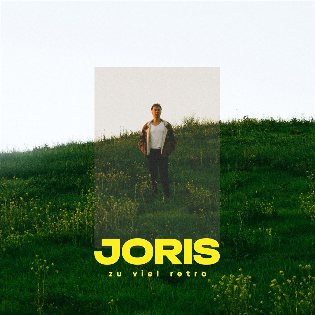 zu viel retro cover art
