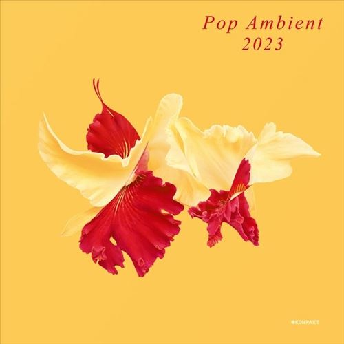 Pop Ambient 2023 cover art