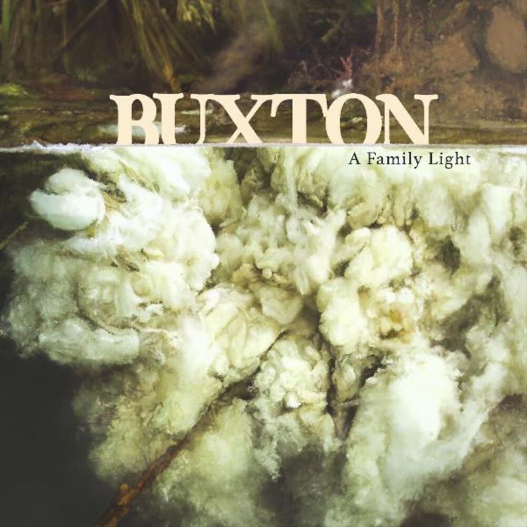 Family Light cover art