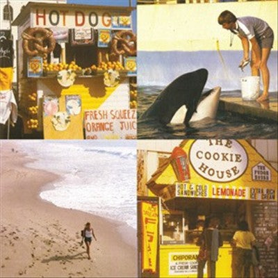 Something In the Way cover art