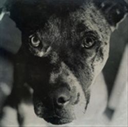 Wind and the Runaway cover art