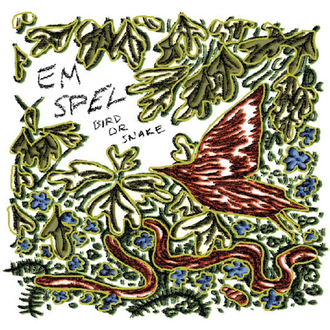 Bird or Snake cover art