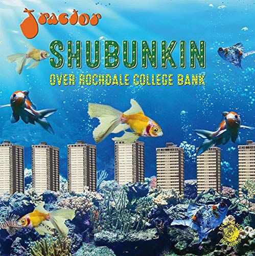 Shubunkin Over Rochdale College Bank cover art