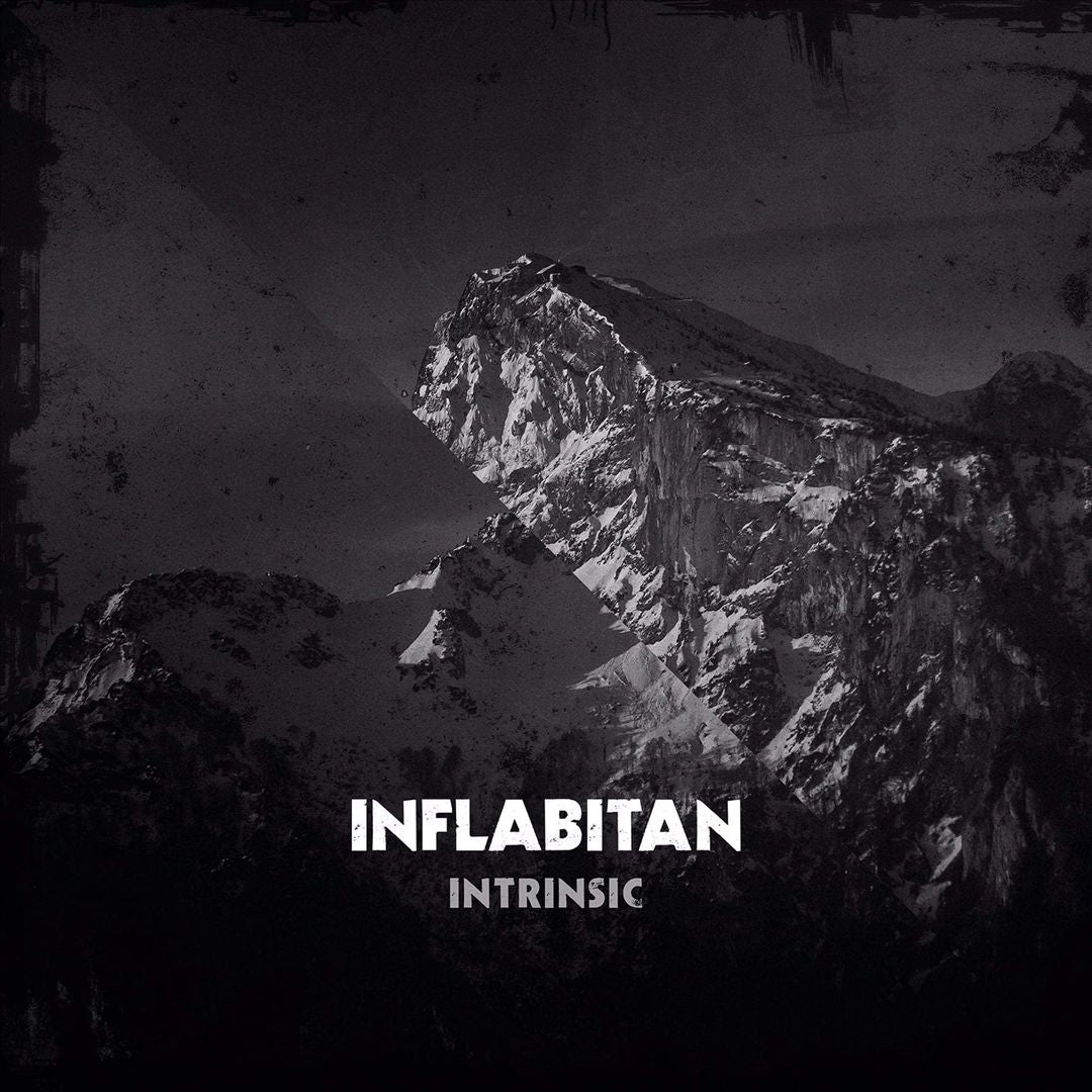 Intrinsic [Gray Vinyl] cover art