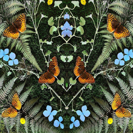 Aubades cover art