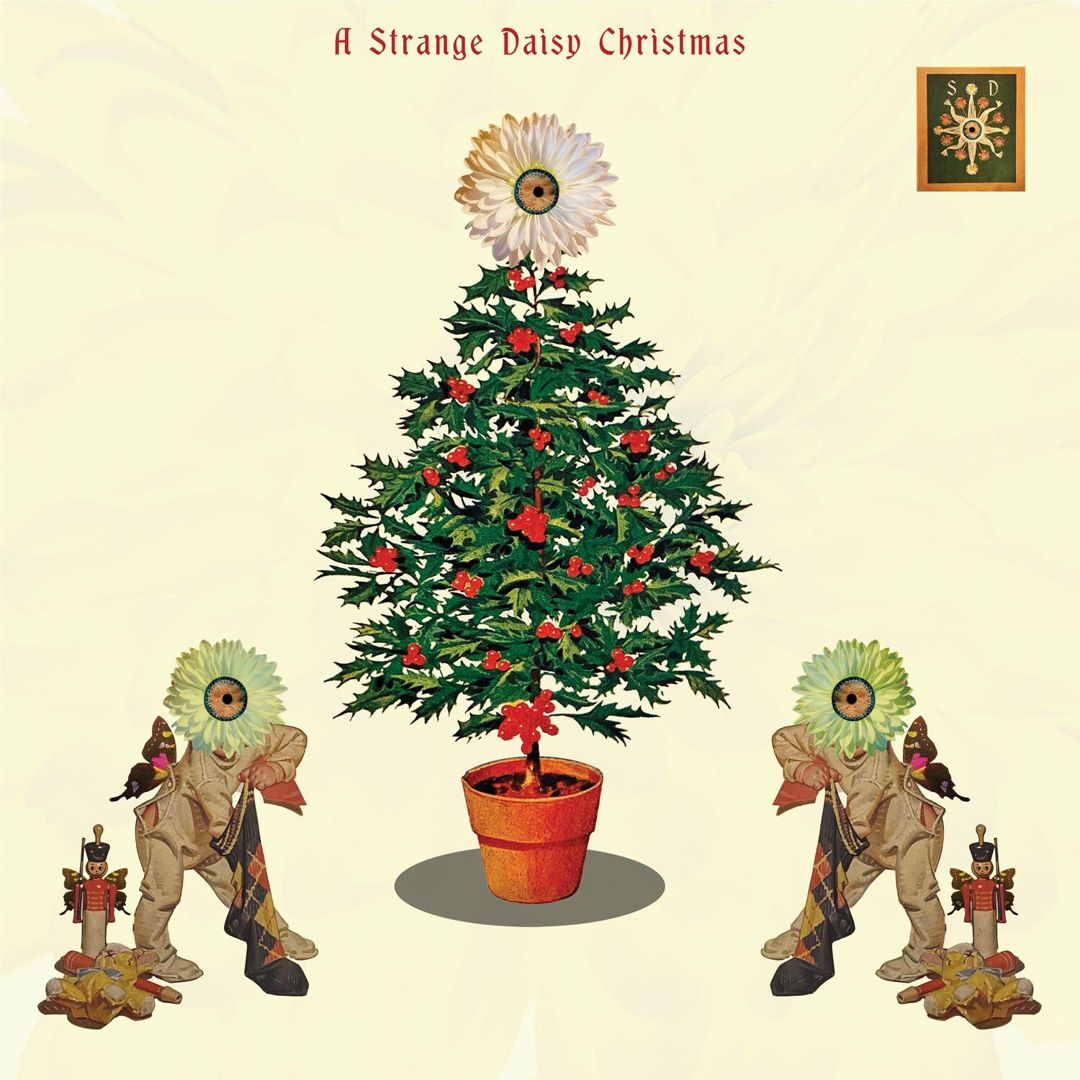 Strange Daisy Christmas  cover art
