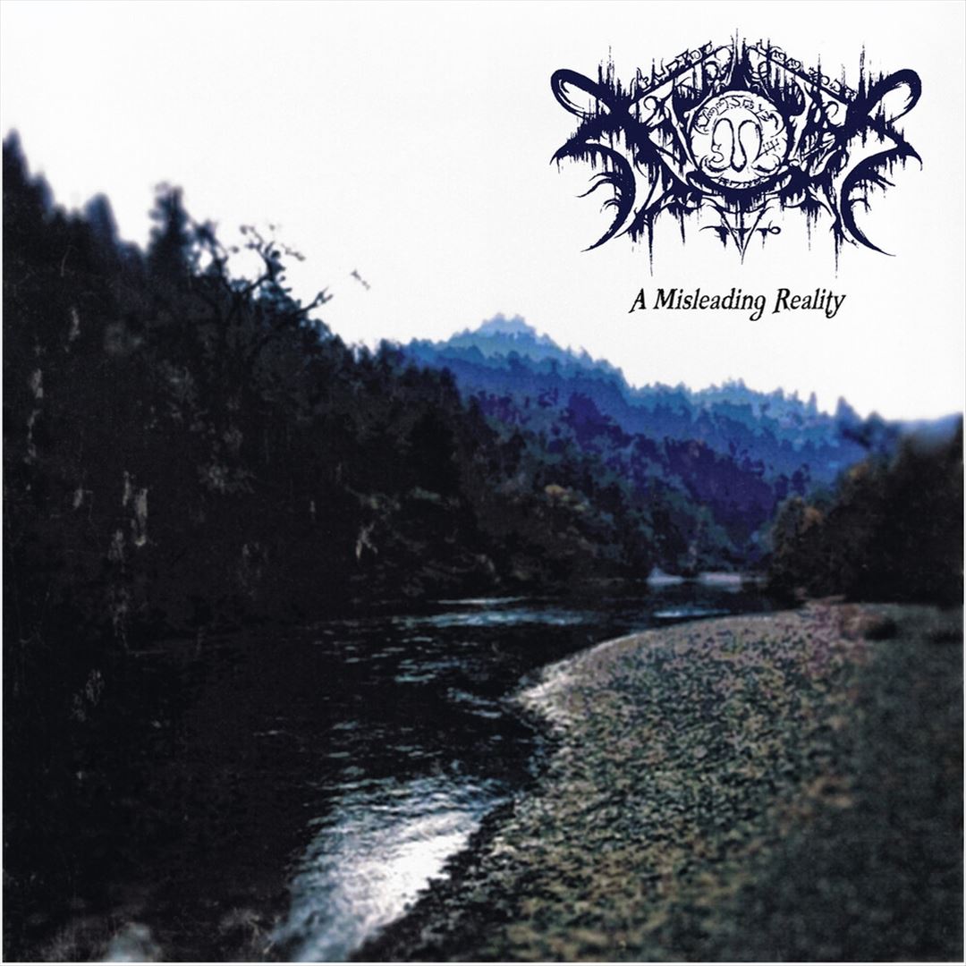 Misleading Reality cover art