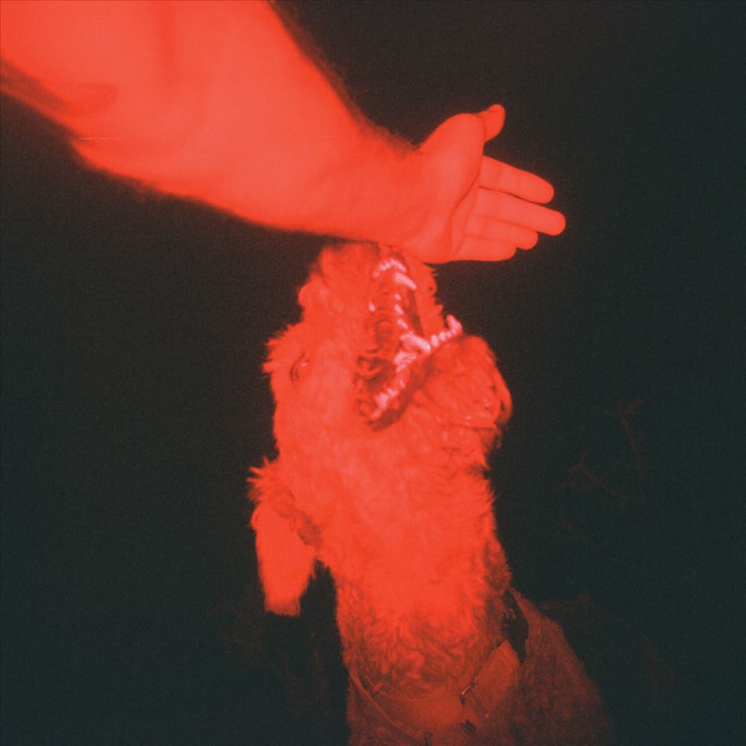 Trick of the Light cover art