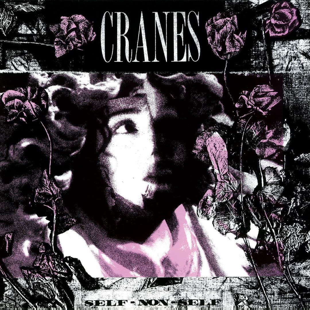 Self-Non-Self cover art