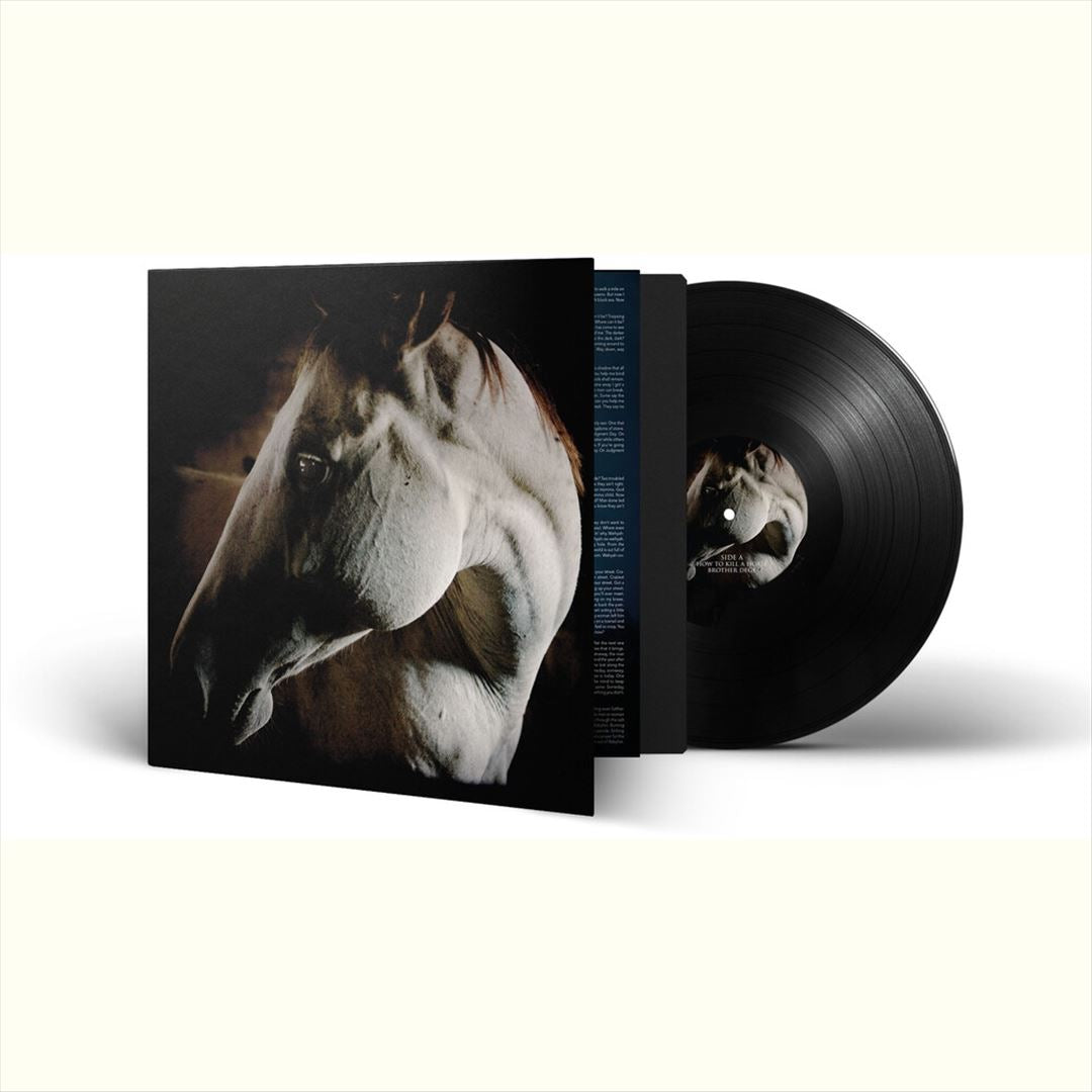 How to Kill a Horse cover art