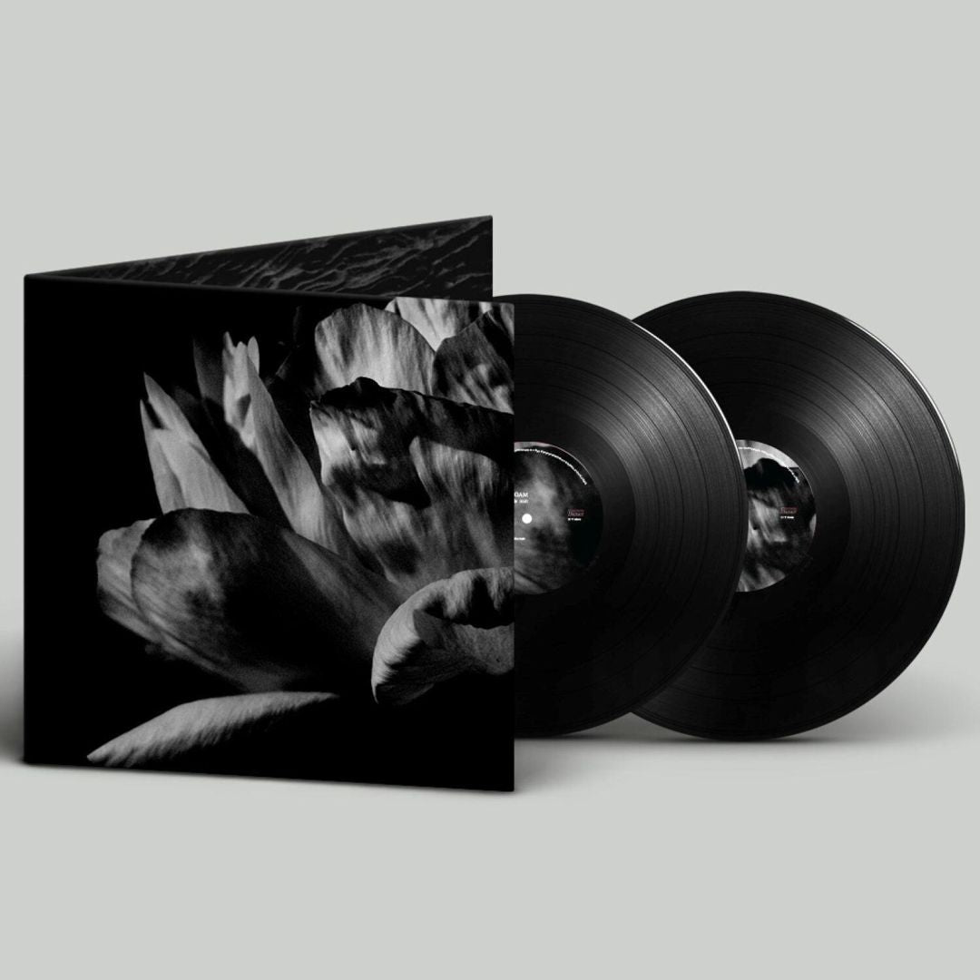 Où Passe la Nuit cover art
