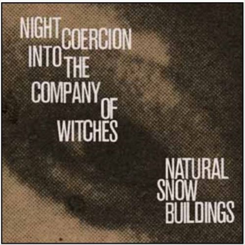Night Coercion Into the Company of Witches cover art