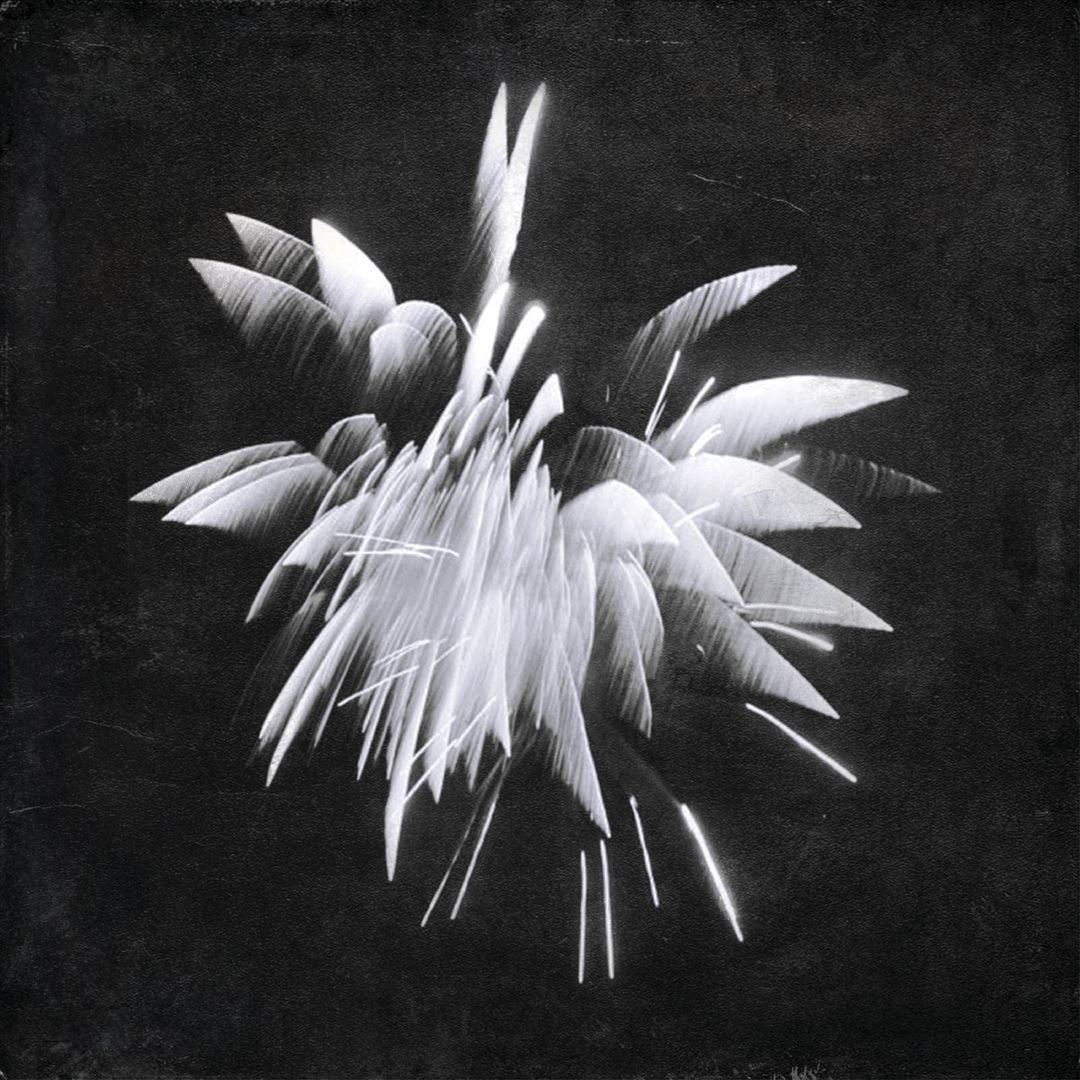 New Morning Howl cover art
