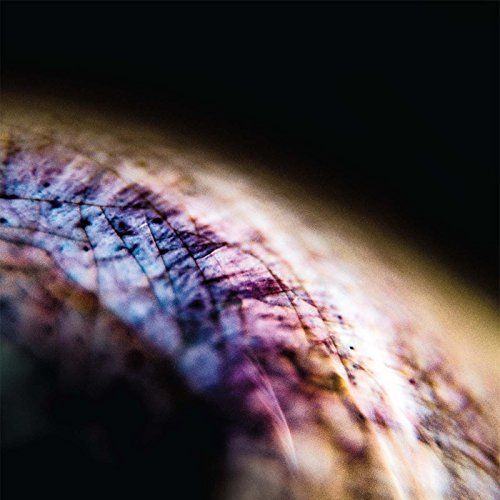 Skin cover art