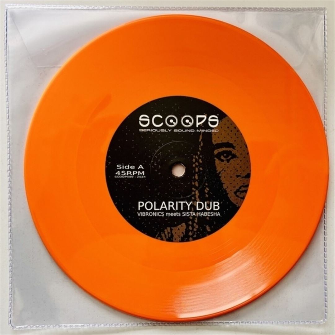 Polarity Dub cover art