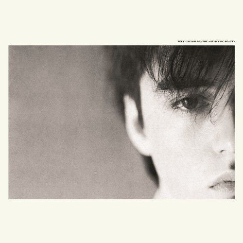 Crumbling the Antiseptic Beauty [Deluxe Remastered Gatefold Sleeve Vinyl Edition] cover art