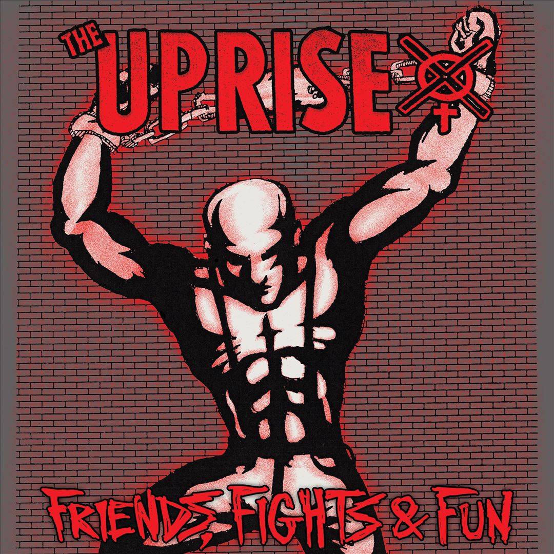 Friends, Fights and Fun cover art