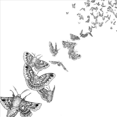 Everything Dies cover art