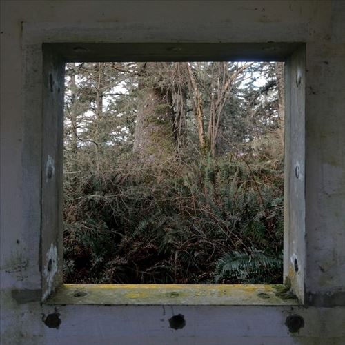 Sculptures cover art