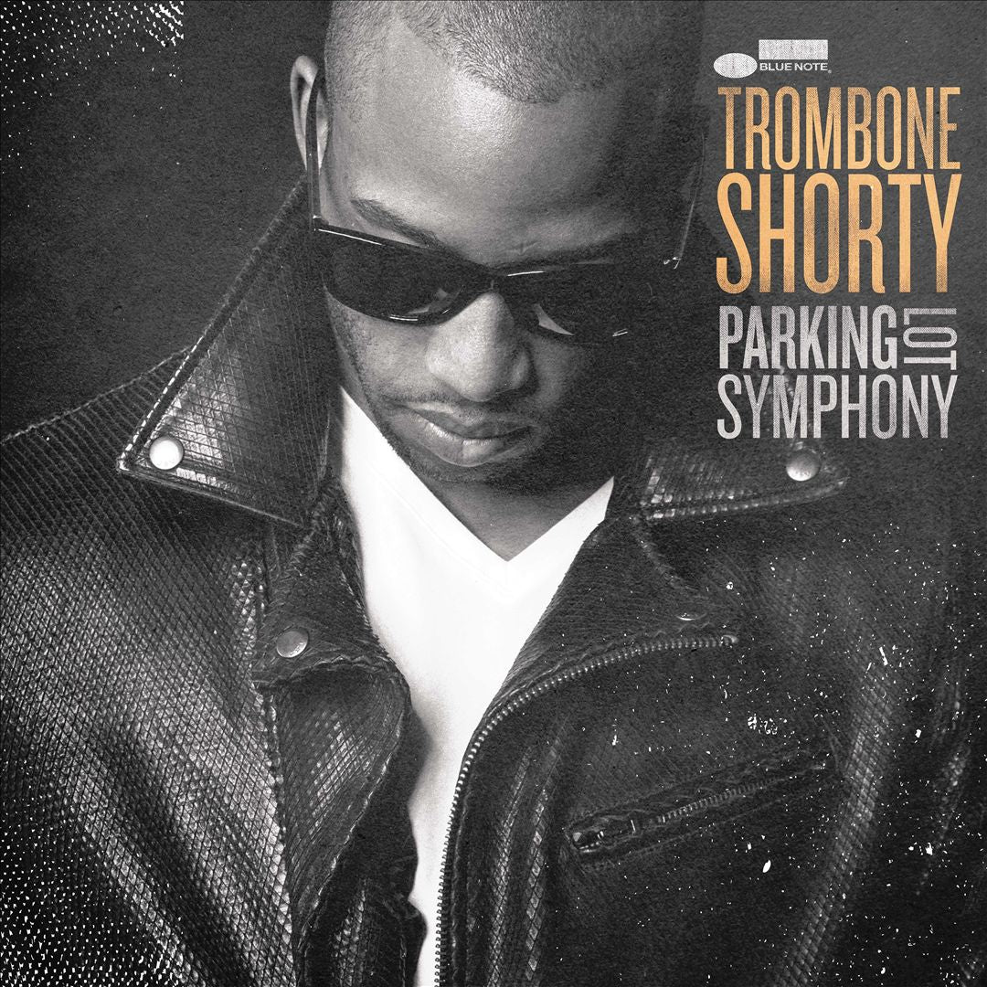 Parking Lot Symphony [LP] cover art