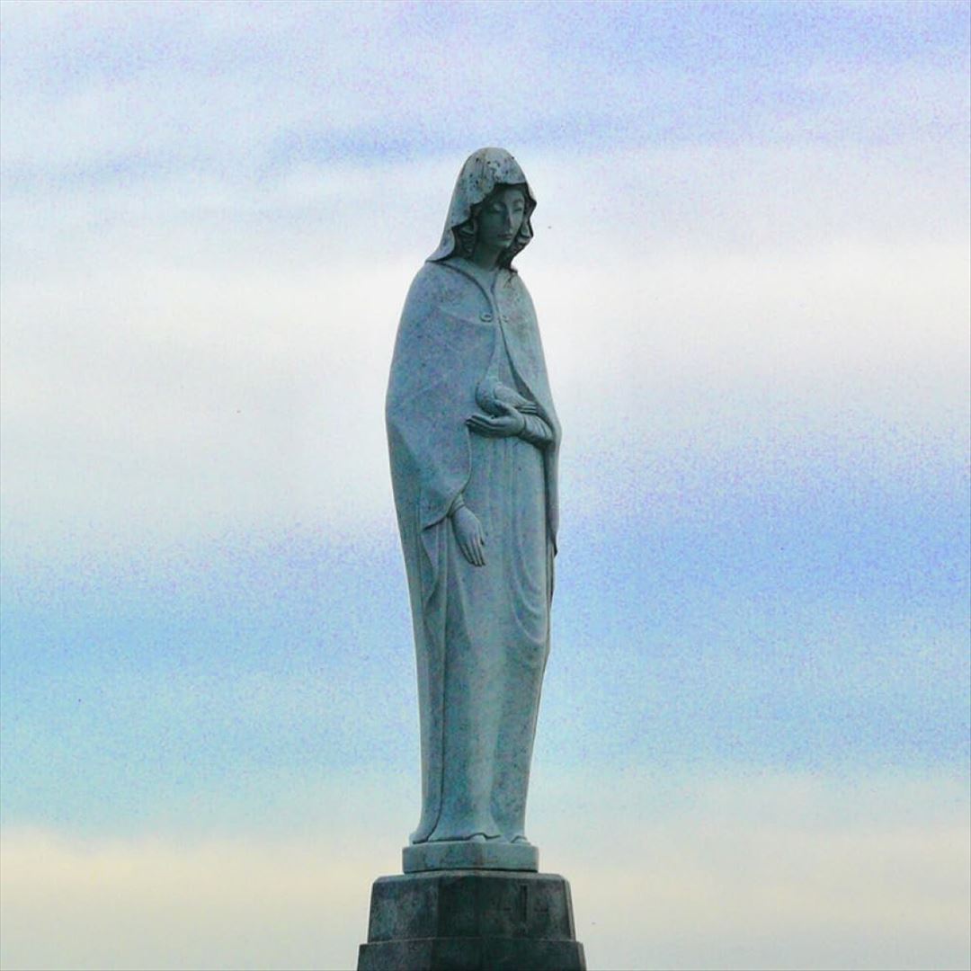 Fission cover art