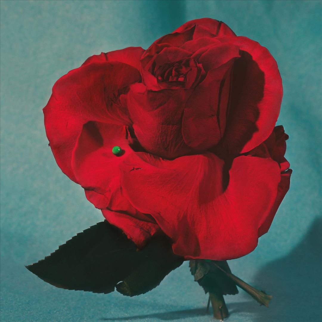 Up On Gravity Hill cover art