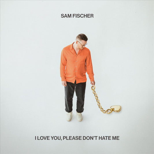 I Love You, Please Don't Hate Me cover art