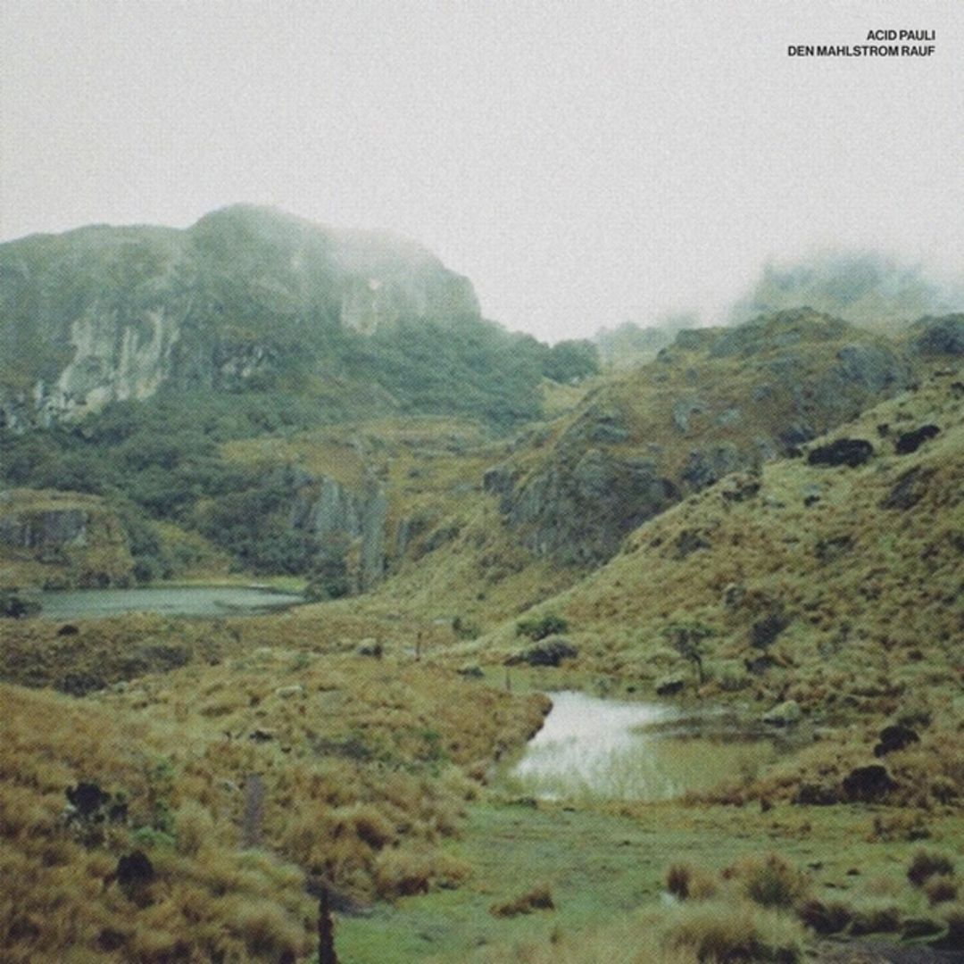 Den Mahlstrom Rauf cover art