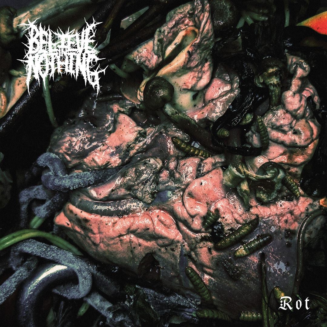 Rot cover art